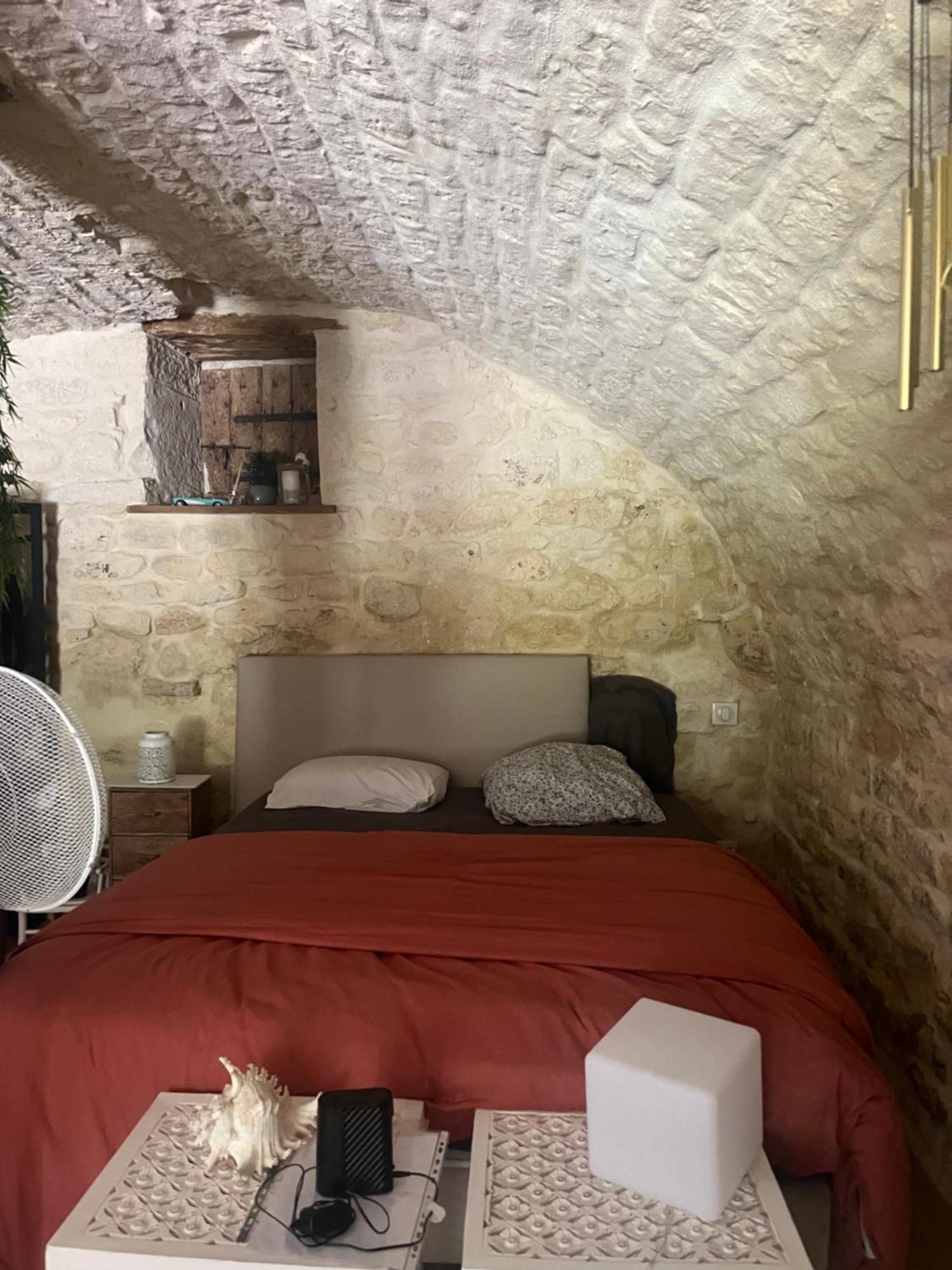 Voute Des Anges Type Loft Sans Cloison Apartment Castelnau-Montratier Exterior photo